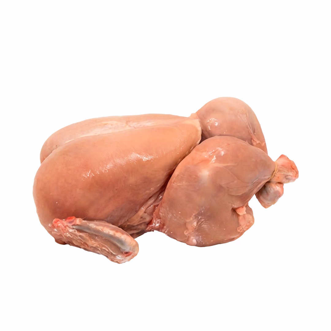 Broiler Chicken